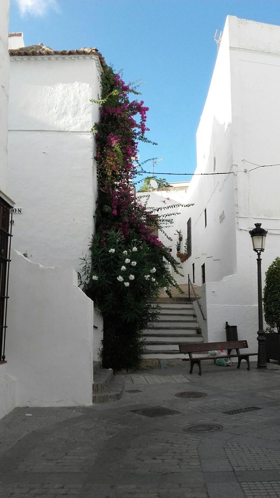 Casa Calle Alta Maria Bajo Vejer de la Frontera Zewnętrze zdjęcie